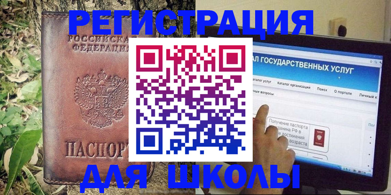 прописка для школы в Апатитах